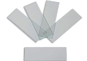 Microscope Slides and Coverslips